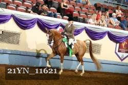 21YN_11621 thumbnail