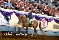 21YN_11624 thumbnail