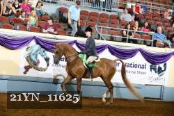 21YN_11625 thumbnail