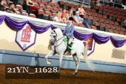 21YN_11628 thumbnail