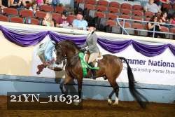21YN_11632 thumbnail
