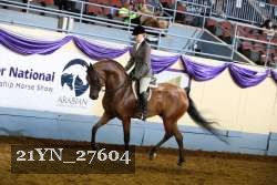 21YN_27604 thumbnail
