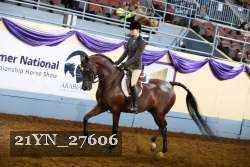 21YN_27606 thumbnail