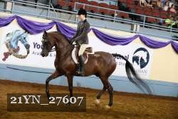 21YN_27607 thumbnail