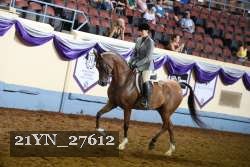21YN_27612 thumbnail