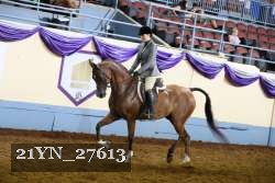 21YN_27613 thumbnail
