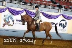 21YN_27614 thumbnail