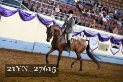 21YN_27615 thumbnail