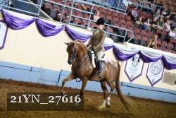 21YN_27616 thumbnail