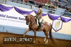 21YN_27617 thumbnail