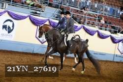 21YN_27619 thumbnail