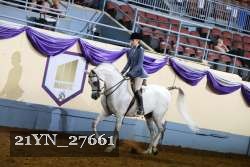 21YN_27661 thumbnail
