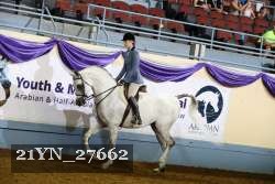 21YN_27662 thumbnail