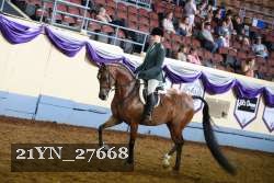 21YN_27668 thumbnail