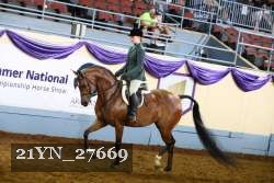 21YN_27669 thumbnail
