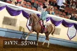 21YN_55701 thumbnail