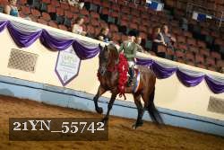 21YN_55742 thumbnail