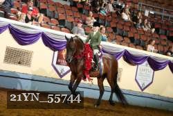 21YN_55744 thumbnail