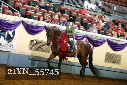21YN_55745 thumbnail