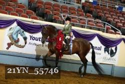 21YN_55746 thumbnail