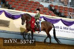 21YN_55747 thumbnail