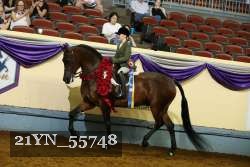 21YN_55748 thumbnail