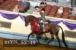 21YN_55749 thumbnail
