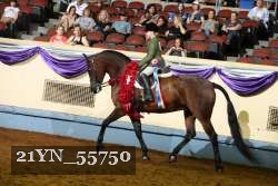 21YN_55750 thumbnail