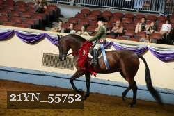 21YN_55752 thumbnail