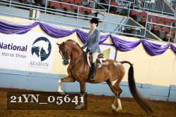 21YN_05641 thumbnail