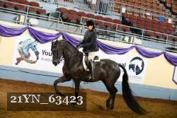 21YN_63423 thumbnail