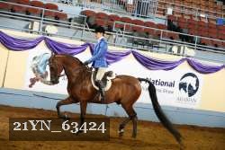 21YN_63424 thumbnail