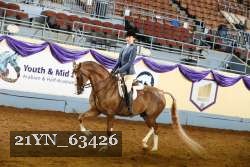 21YN_63426 thumbnail