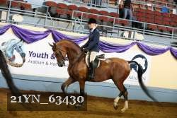 21YN_63430 thumbnail