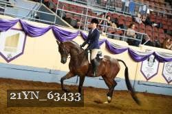 21YN_63433 thumbnail