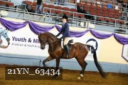 21YN_63434 thumbnail
