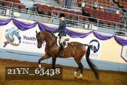 21YN_63438 thumbnail