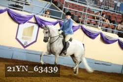 21YN_63439 thumbnail