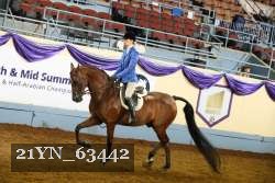 21YN_63442 thumbnail