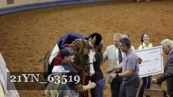 21YN_63519 thumbnail