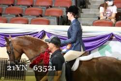 21YN_63521 thumbnail