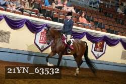 21YN_63532 thumbnail