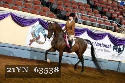 21YN_63538 thumbnail