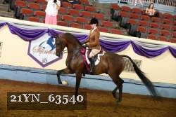 21YN_63540 thumbnail