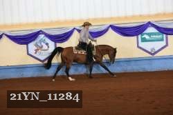 21YN_11284 thumbnail