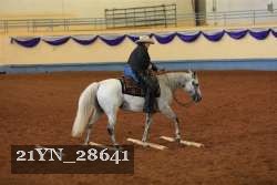 21YN_28641 thumbnail