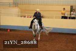 21YN_28688 thumbnail