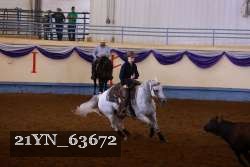 21YN_63672 thumbnail