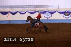 21YN_63720 thumbnail