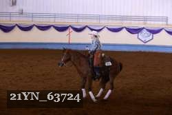 21YN_63724 thumbnail